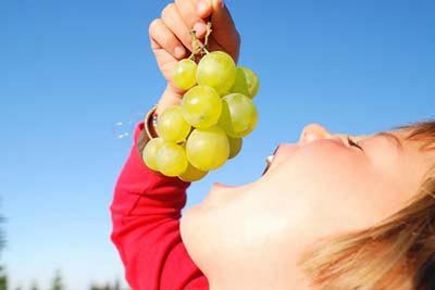 С какого возраста можно давать ребенку виноград