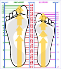 Размер ноги ребенка по возрасту и таблица размеров детской обуви 