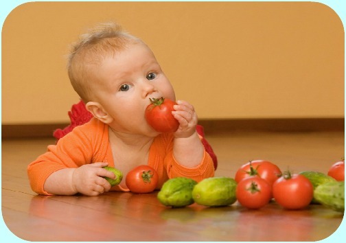 Когда можно давать ребенку помидоры и огурцы