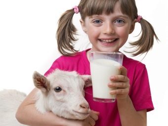 Нужно или нет кипятить козье молоко для ребенка