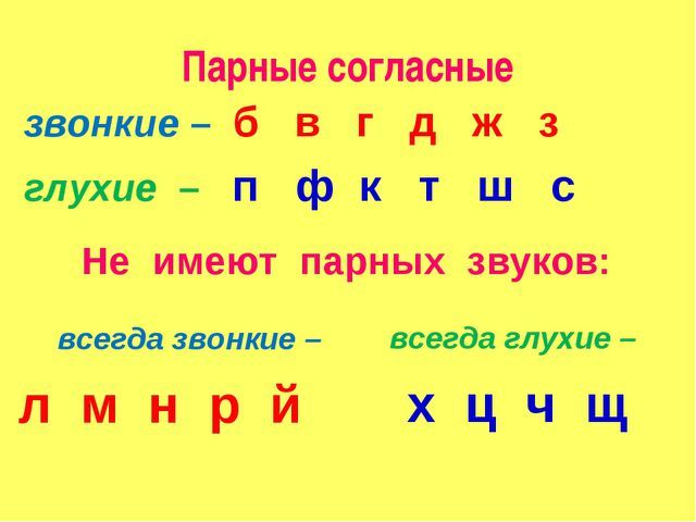 Согласные звуки в русском языке: пары по звонкости-глухости, по мягкости-твёрдости