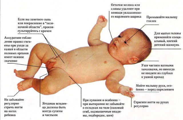 Гигиена новорожденного мальчика - правильные советы от Комаровского