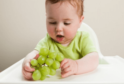 С какого возраста можно давать ребенку виноград